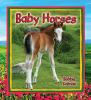 Baby_horses