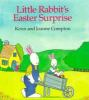Little_Rabbit_s_Easter_surprise
