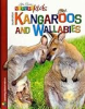 Australian_kangaroos_and_wallabies