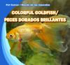 Colorful_goldfish__