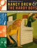 The_mysterious_case_of_Nancy_Drew___the_Hardy_boys