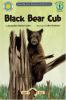 Black_Bear_Cub