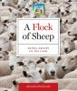 A_flock_of_sheep
