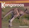 Welcome_to_the_world_of_Kangaroos