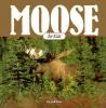 Moose_for_kids
