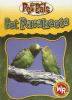 Pet_parakeets