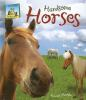Handsome_horses