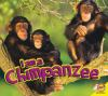 I_am_a_chimpanzee