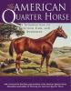 The_American_quarter_horse