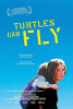 Turtles_can_fly
