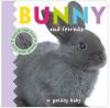 Bunny_and_friends