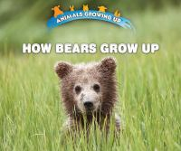 How_bears_grow_up