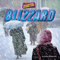 It_s_a_disaster___Blizzard