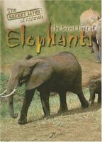 The_secret_lives_of_elephants