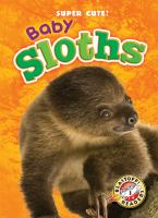 Baby_sloths