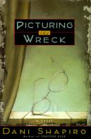 Picturing_the_wreck