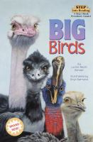 Big_Birds