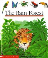 The_rain_forest
