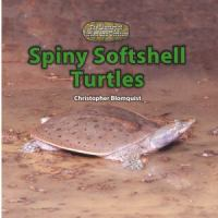 Spiny_softshell_turtles