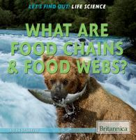 What_are_food_chains___food_webs_