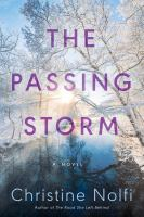 The_passing_storm