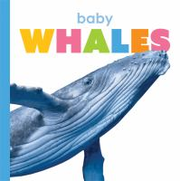 Baby_whales
