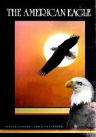 The_American_eagle