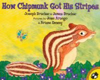 How_chipmunk_got_his_stripes