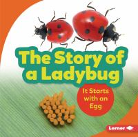 The_story_of_a_ladybug