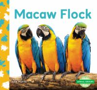 Macaw_flock