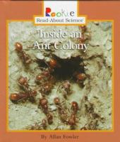 Inside_an_ant_colony