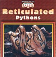 Reticulated_pythons