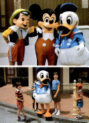 The_magic_of_Disneyland_and_Walt_Disney_World
