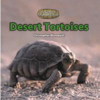 Desert_tortoises