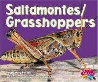 Saltamontes__Grasshoppers