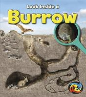 Look_inside_a_burrow