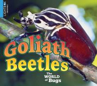 Goliath_beetles