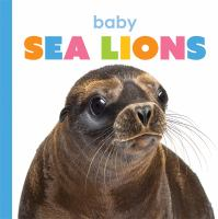 Baby_sea_lions