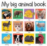 My_big_animal_book