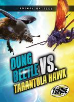 Dung_beetle_vs__tarantula_hawk