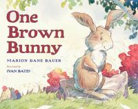 One_Brown_Bunny