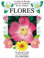 Flores___Flowers