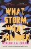 What_storm__what_thunder