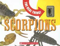 The_real_thing__scorpions