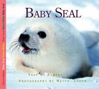 Baby_seal
