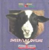 Sheep_Las_Ovejas