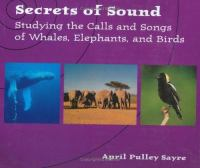 Secrets_of_sound